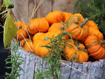 High angle view of pumpkins in market