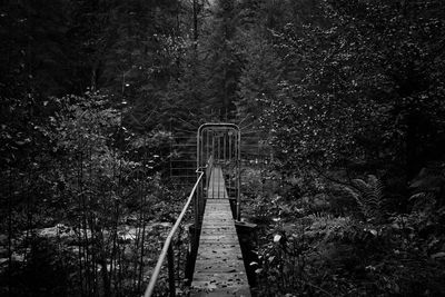 Footbridge in forest