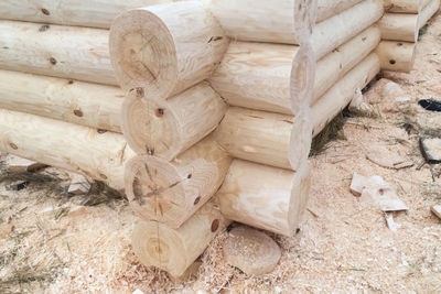 Close-up of stack of logs in forest