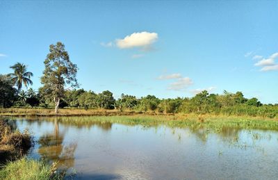 Scenic view of lake against sky