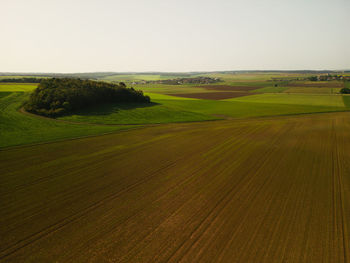 Scenic view of agricultural field against clear sky