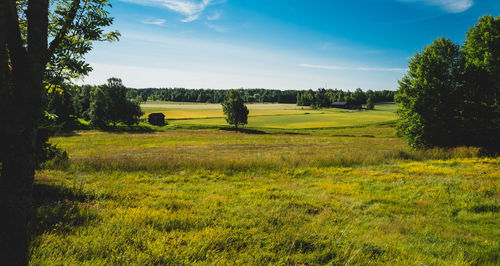 Scenic view of field against sky