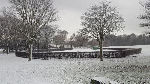 Bare trees on snow covered field against sky