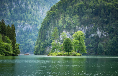 Scenic view of lake amidst trees in forest