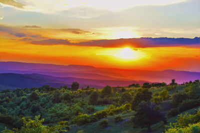 Warm summer sunset light