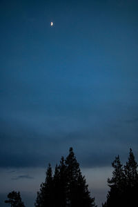 Low angle view of silhouette trees against sky at night