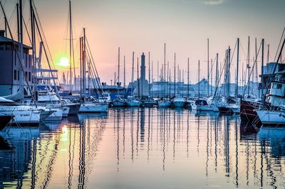 Boats moored at harbor