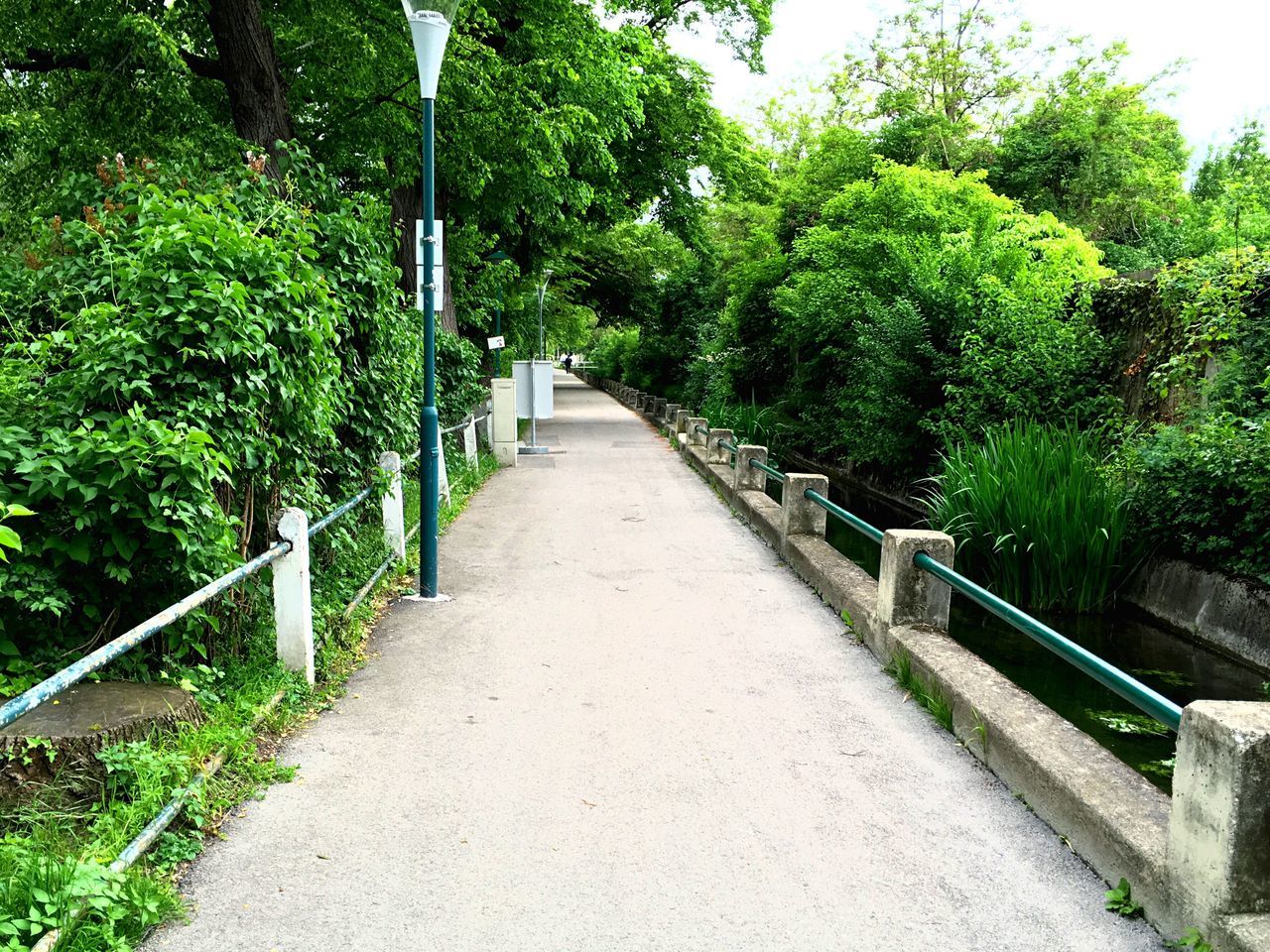 the way forward, tree, diminishing perspective, railing, green color, growth, vanishing point, transportation, plant, walkway, narrow, footpath, long, nature, built structure, pathway, day, no people, outdoors, empty