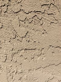 Full frame shot of wall