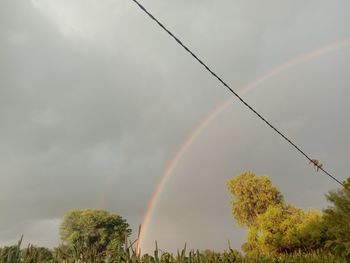 Low angle view of rainbow against sky