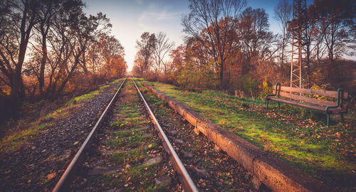 Railroad tracks amidst trees during autumn