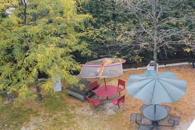 High angle view of plants and trees on field