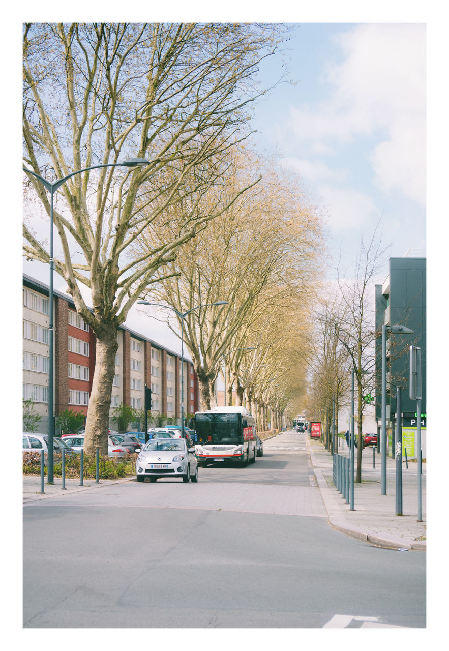 tree, car, motor vehicle, transportation, architecture, city, mode of transportation, bare tree, building exterior, street, residential area, plant, built structure, road, land vehicle, nature, sky, day, building, neighbourhood, no people, vehicle, suburb, transfer print, city life, outdoors, cloud, city street, auto post production filter, sidewalk, sign, residential district