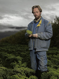 Farmer in iceland picking kale