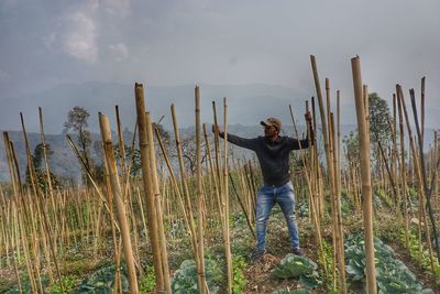 Man standing holding bamboo trellis amidst vegetable plants growing on field against sky