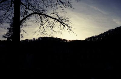 Silhouette trees against sky at sunset