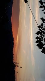 Silhouette trees against sky during sunset