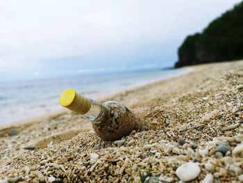 Close-up of bottle in pebbles at beach