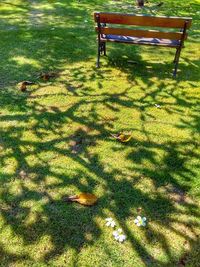 High angle view of green shadow on grass