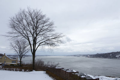 Bare tree against sky during winter