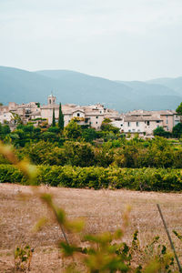 Houses on field by buildings against sky