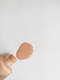 Close-up of hand holding shell over white background