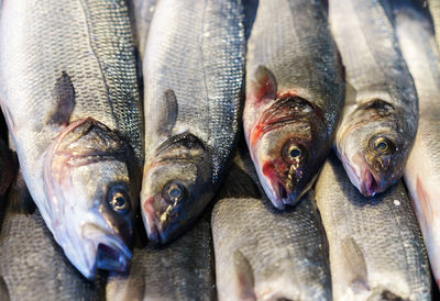 High angle view of fish at jessie taylor seafood market