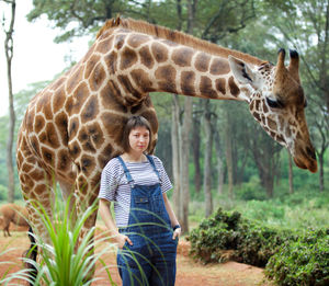 Portrait of mid adult woman standing by giraffe in forest