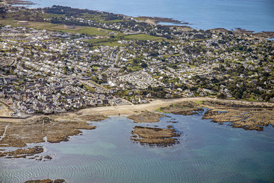 High angle view of plants at beach