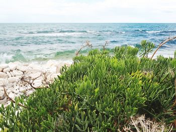 Scenic view of sea against sky