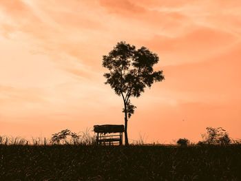 Tree on field against sky during sunset