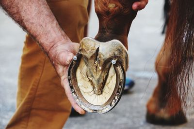 Close-up of hand holding fish