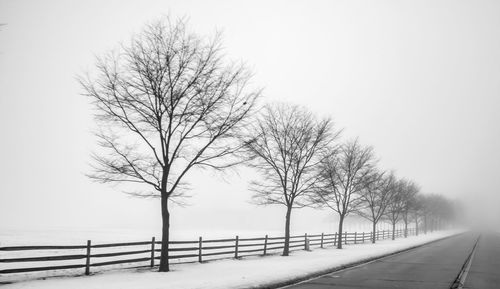 Bare trees on snow covered landscape against sky