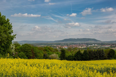 Scenic view of field against sky