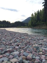 Scenic view of river against cloudy sky