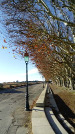 Close-up of bare tree against sky in park
