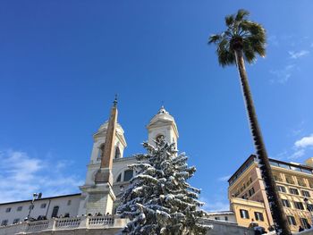 Low angle view of palm trees against sky