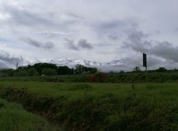 Scenic view of field against sky