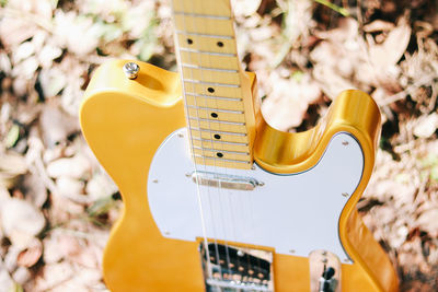 Close-up of guitar