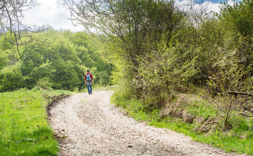 Man walking on road amidst trees in forest