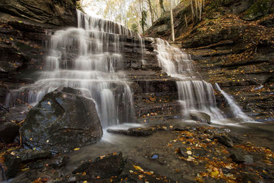 Scenic view of waterfall in forest