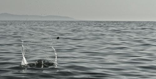 View of bird in sea against sky