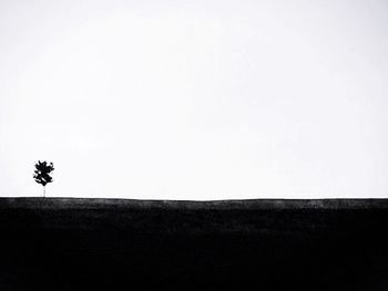 Trees against clear sky