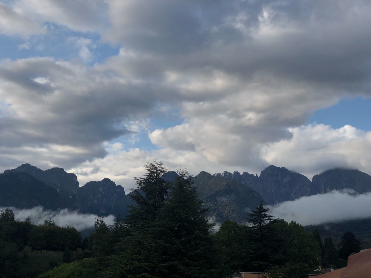 TREES ON MOUNTAIN AGAINST SKY