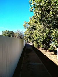 Footpath amidst trees against clear blue sky