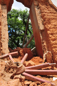 Trees and rock formation