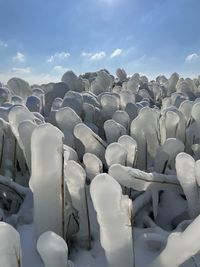 Close-up of white row against sky