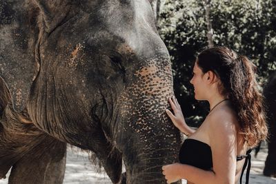 Side view of woman touching elephant in forest