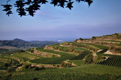 High angle view of agricultural field against sky