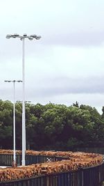 Street lights by trees against sky